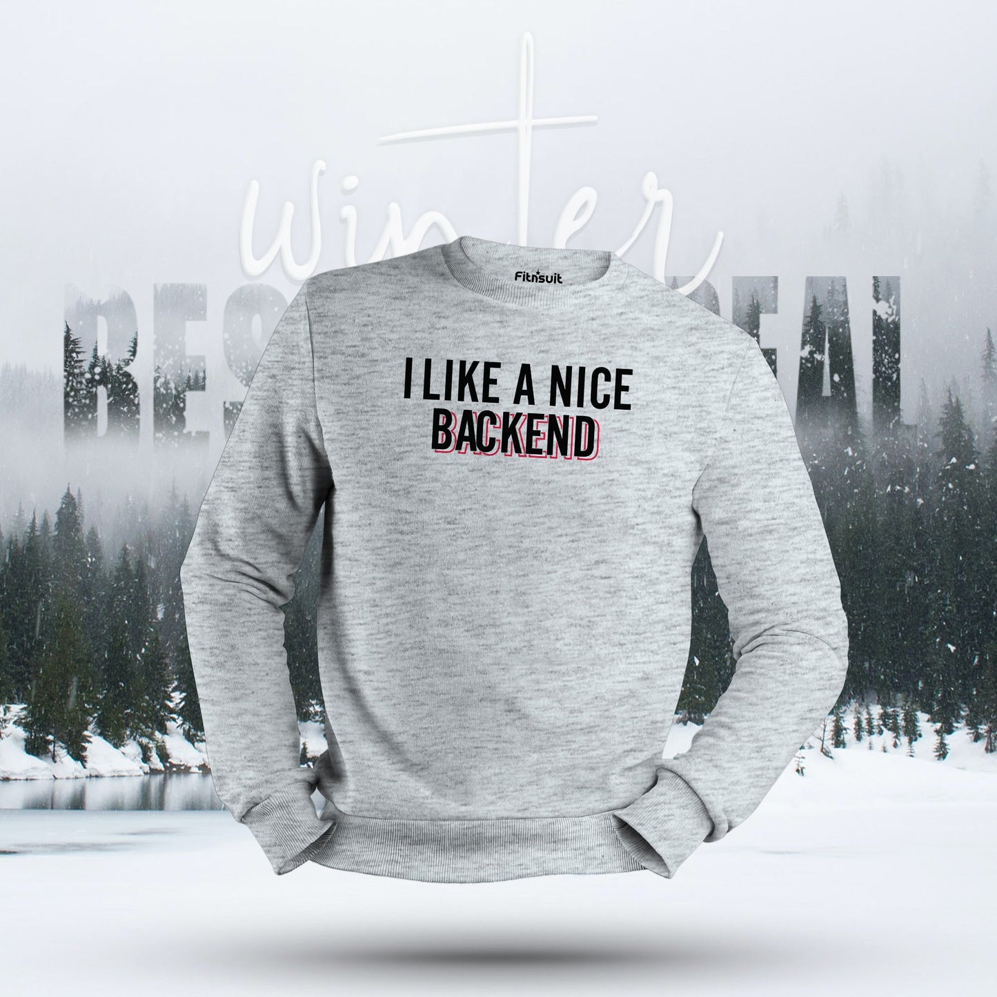 I Like a Nice Backend Developer Humor Hoodie & Sweatshirt