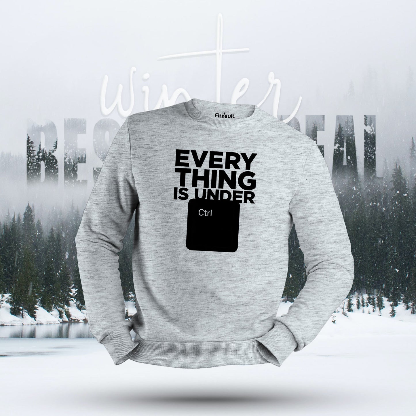 Everything Is Under Ctrl Programmer Hoodie & Sweatshirt