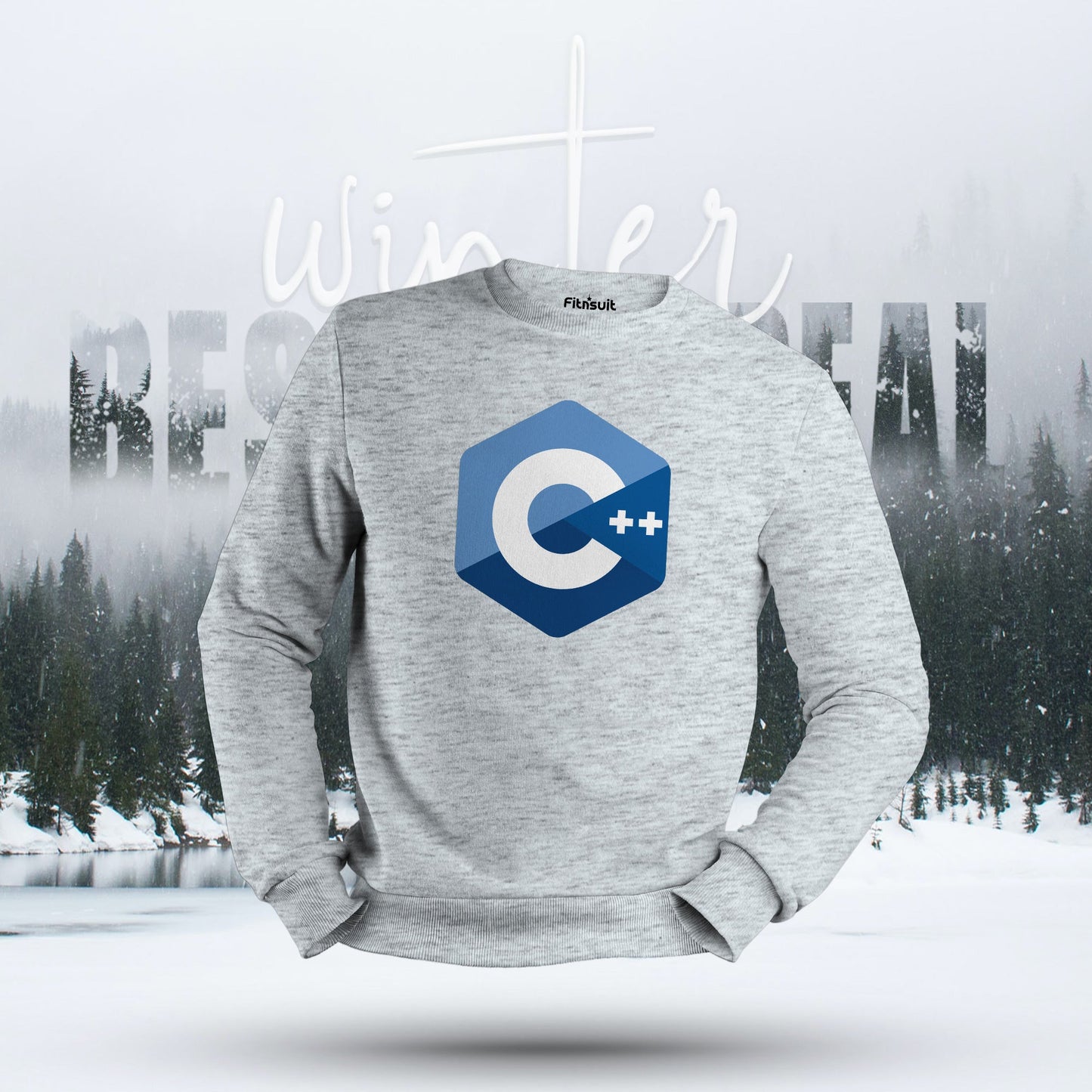 C++ Developer Hexagon Logo Hoodie & Sweatshirt