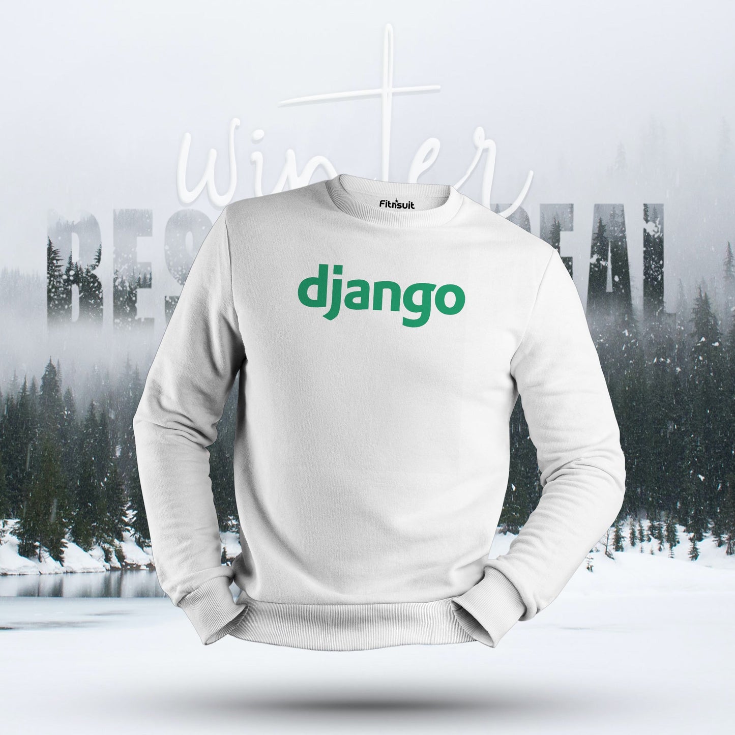 Django Developer Logo Programmer Hoodie & Sweatshirt