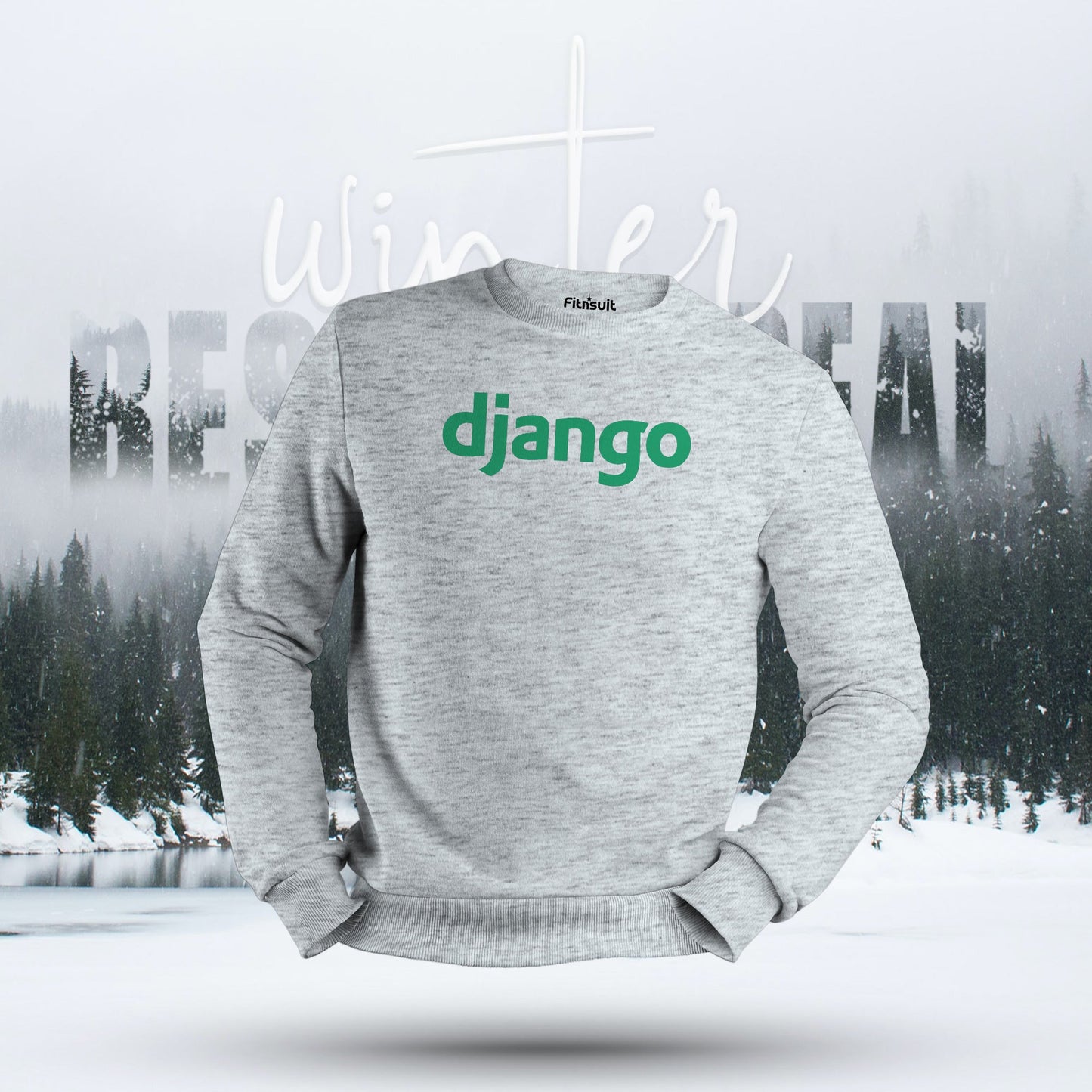 Django Developer Logo Programmer Hoodie & Sweatshirt