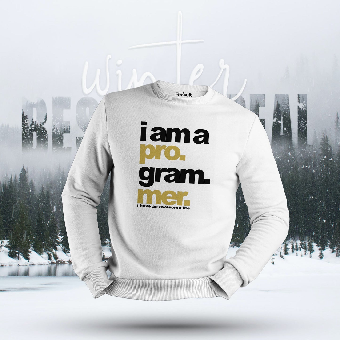 I Am a Programmer I Have an Awesome Life Hoodie & Sweatshirt