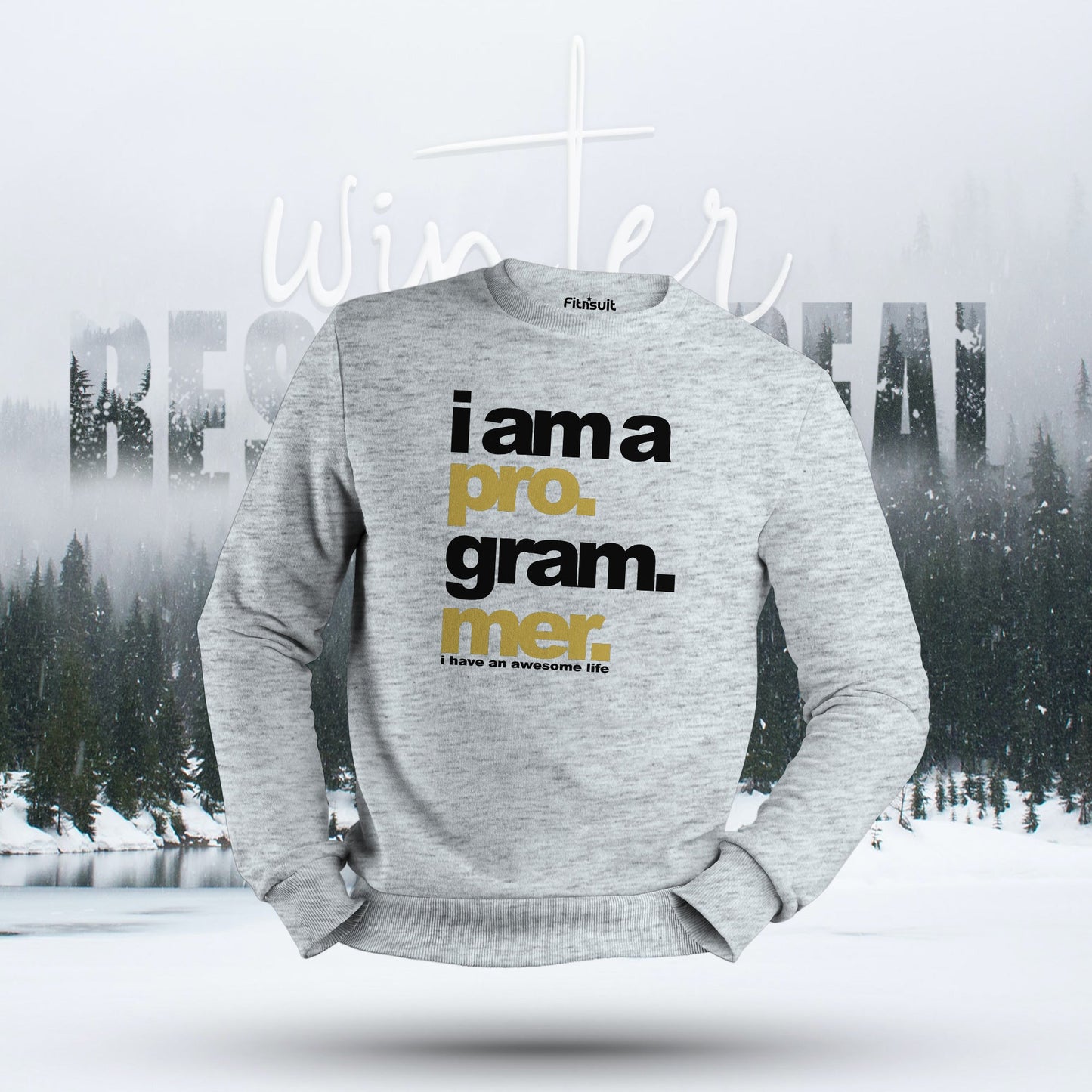 I Am a Programmer I Have an Awesome Life Hoodie & Sweatshirt