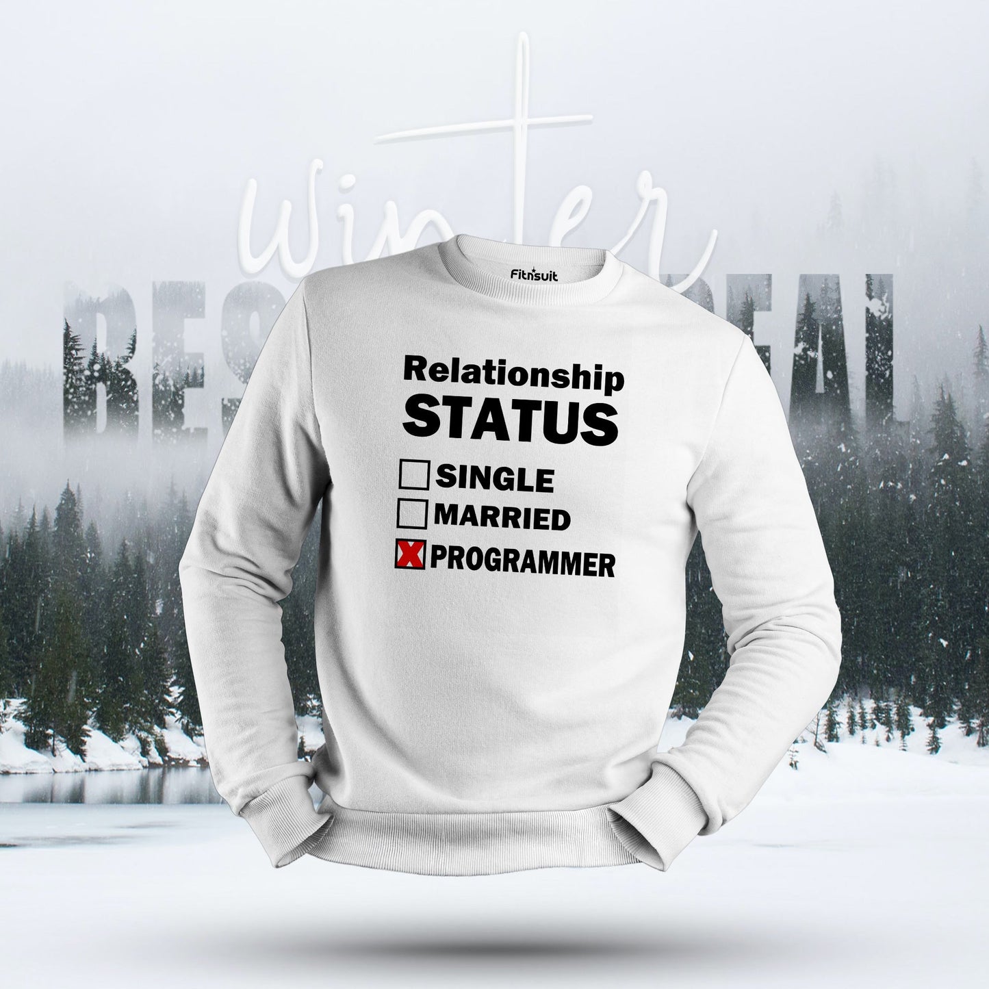 Relationship Status Programmer Humor Hoodie & Sweatshirt