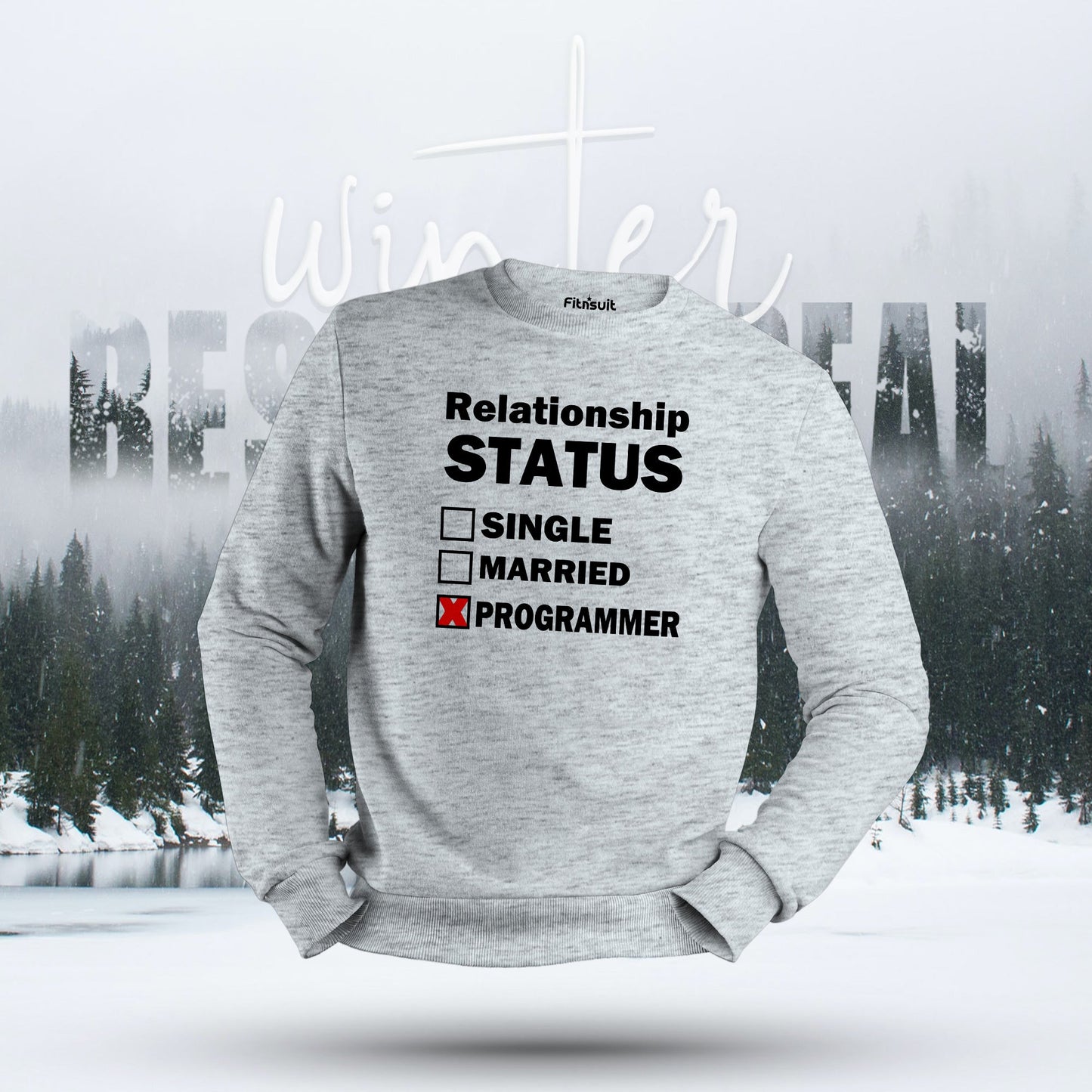 Relationship Status Programmer Humor Hoodie & Sweatshirt